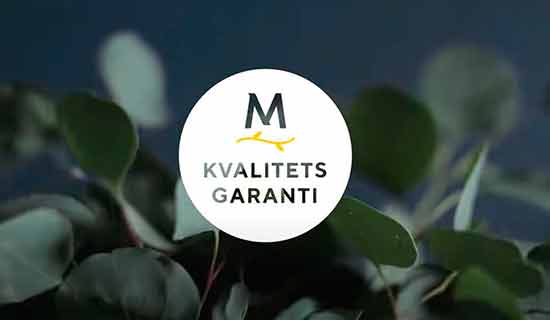 Kvalitetsgaranti på grønne planter