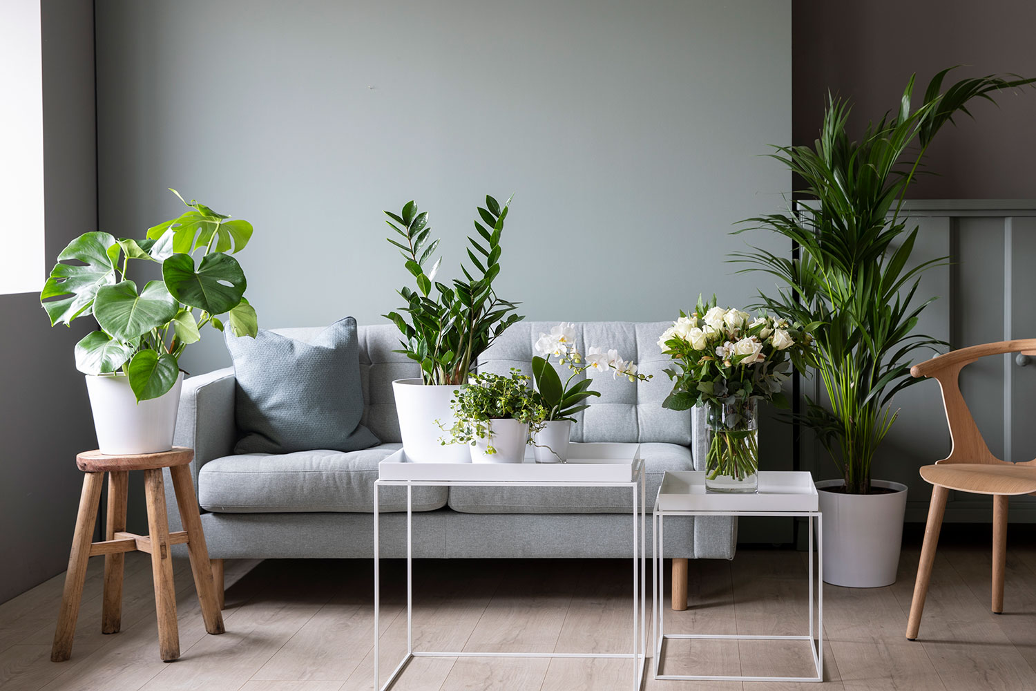 Grønne planter i stuen