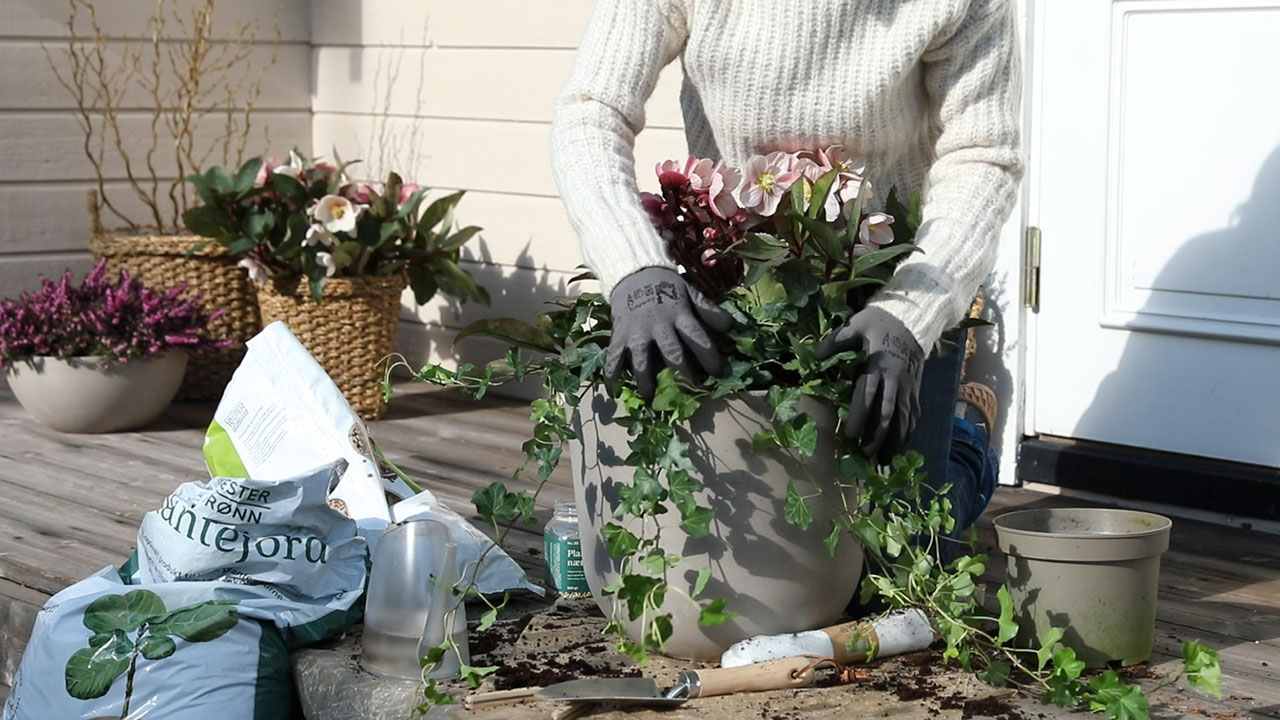 Slik planter du blomster i utepottene