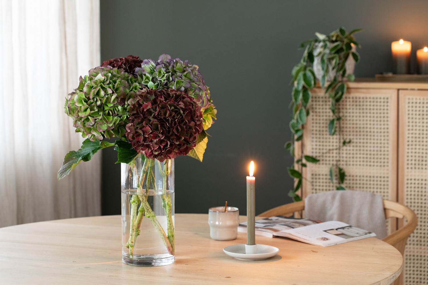 Hortensia i vase
