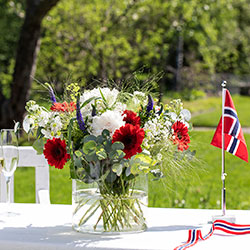 17. mai