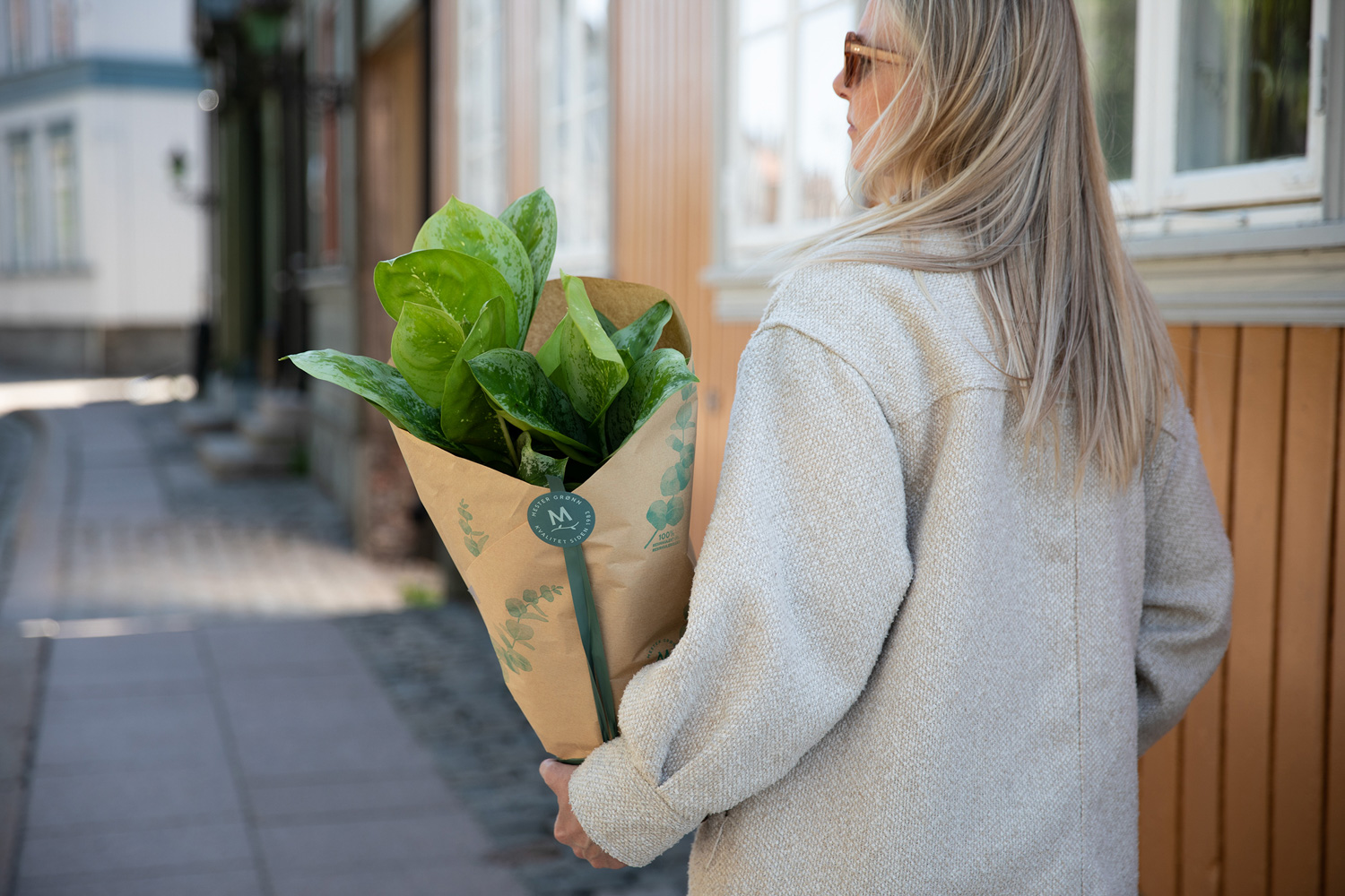 Grønn plante som gave