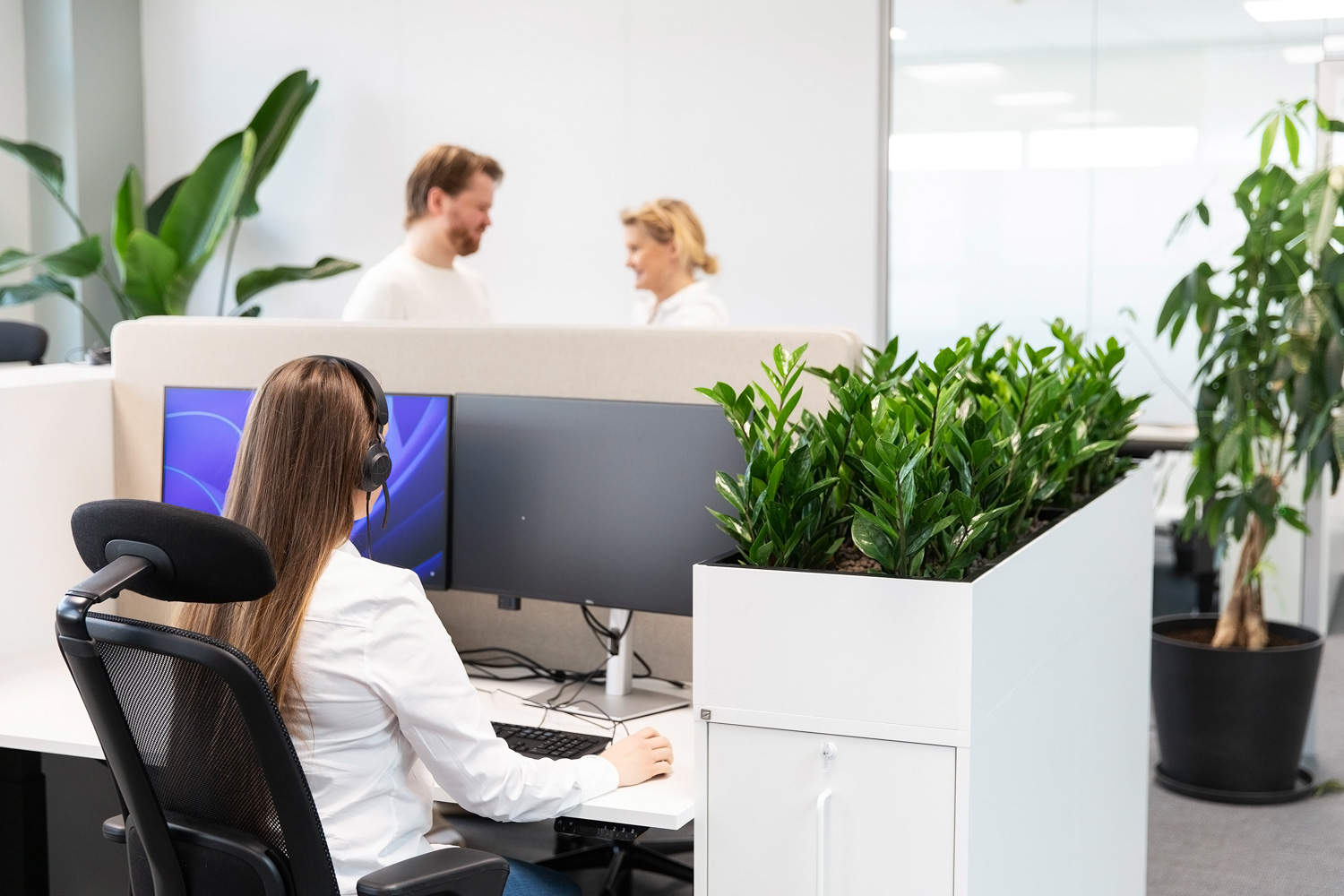 Gr&oslash;nne planter skjermer arbeidsplassen p&aring; kontoret