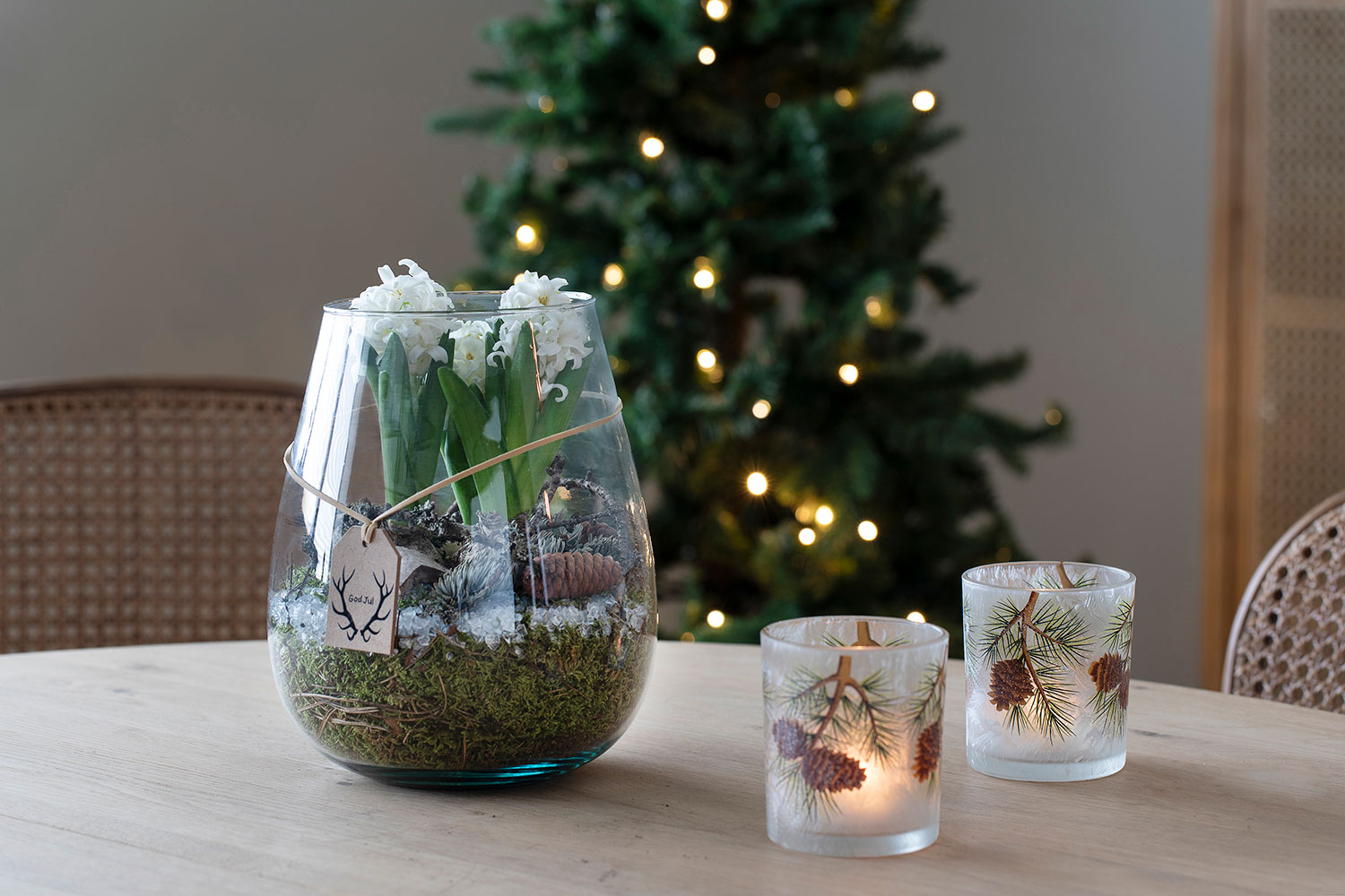 Koselig glassvase med hvite svibler.