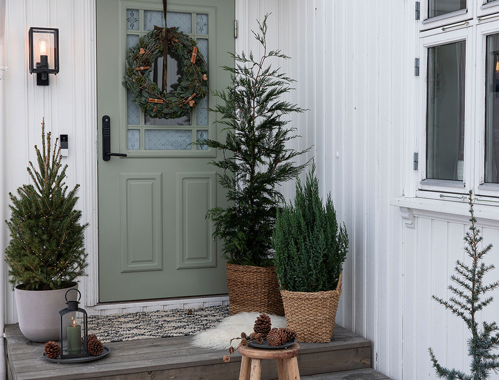Vintergrønne planter ved inngangsdøren