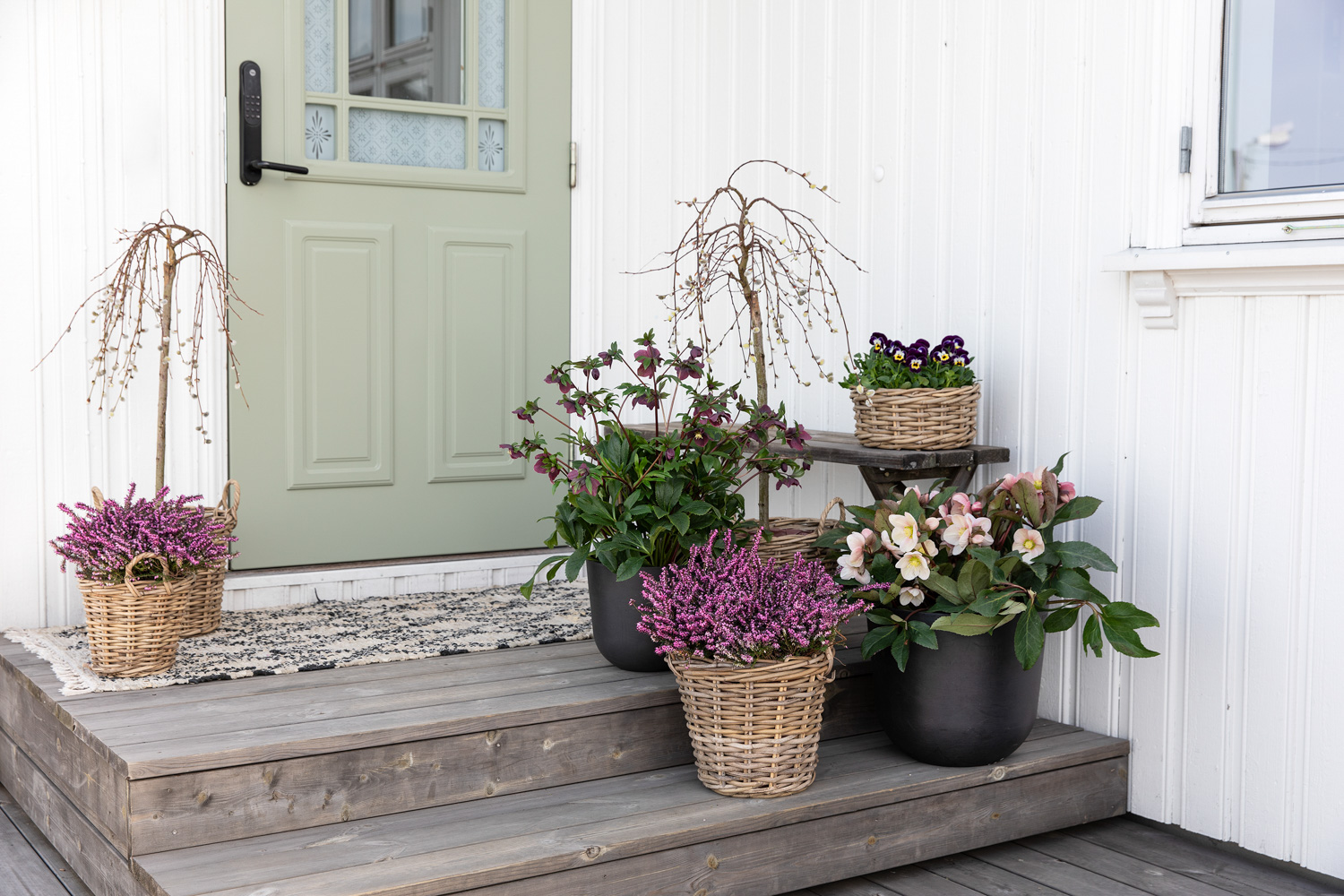 Pynte inngangspartiet med vårblomster