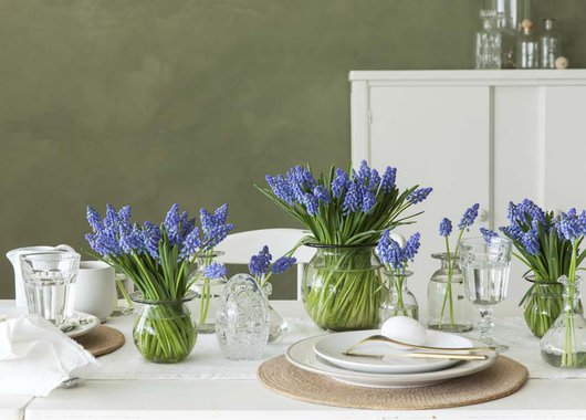 Muscari i vase