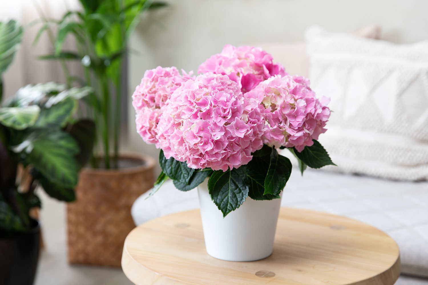 Interiør- og blomsterbilde med klikkbare elementer