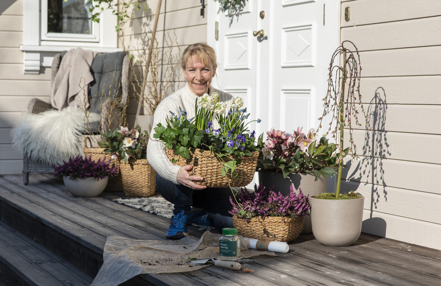 Vårblomster viola