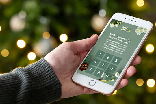 Mester Grønn julekalender