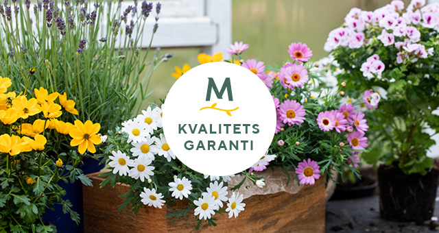 Kvalitetsgaranti uteplanter