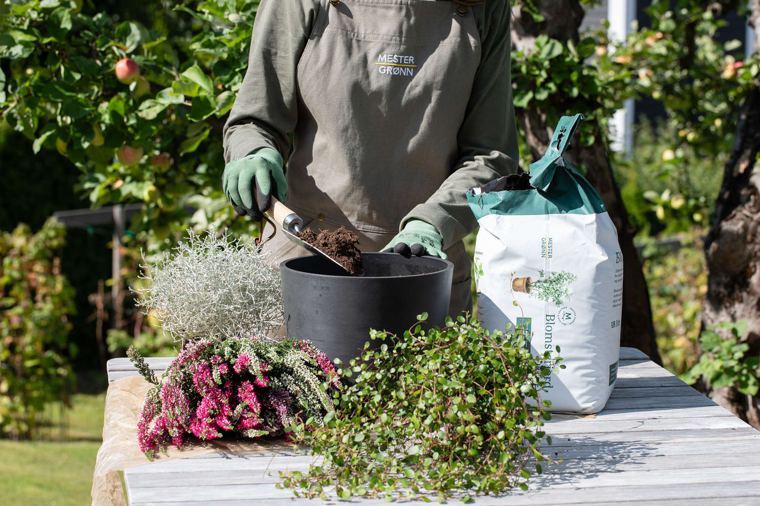Plant h&oslash;tgruppe