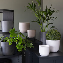 Ecopots utepotter