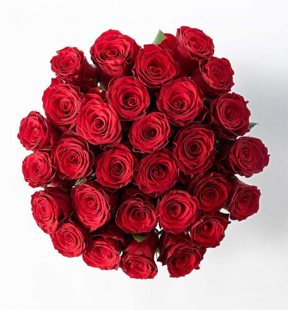 Bestill 30 røde roser | Mester Grønn